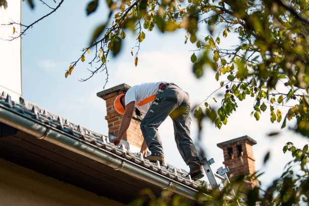 Best Roof Gutter Cleaning  in Forest Meadows, CA